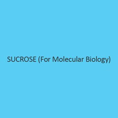 Sucrose (For Molecular Biology)